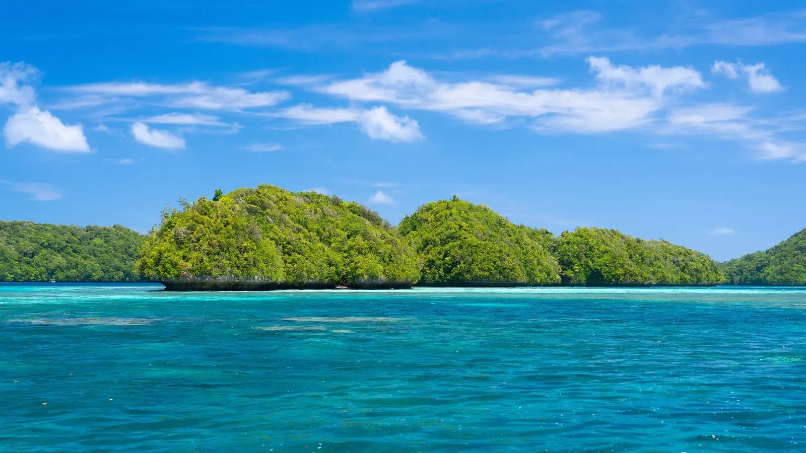 Signature: Palau’s Rock Islands & Underwater Serengeti, a tour by G Adventures