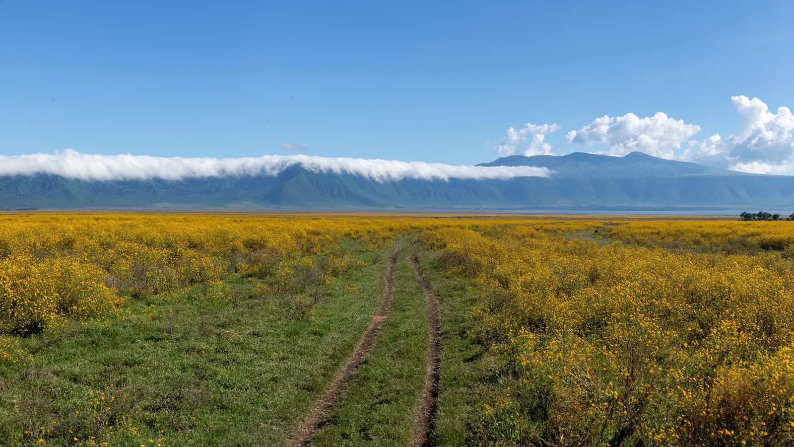 East Africa: Safari Drives, Maasai Culture & the Great Migration (Tanzania), a tour by G Adventures
