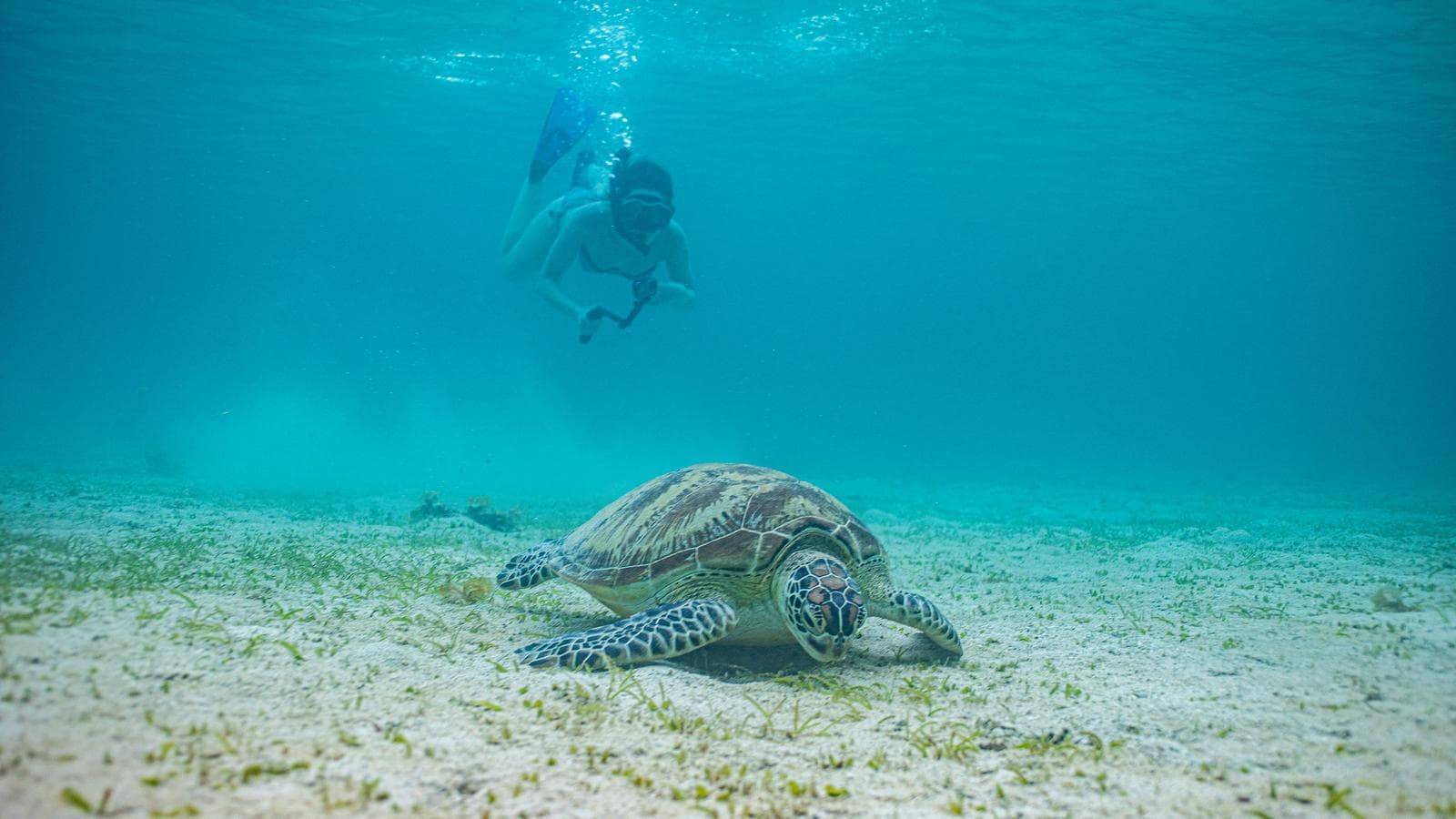 Philippines Express, a tour by G Adventures