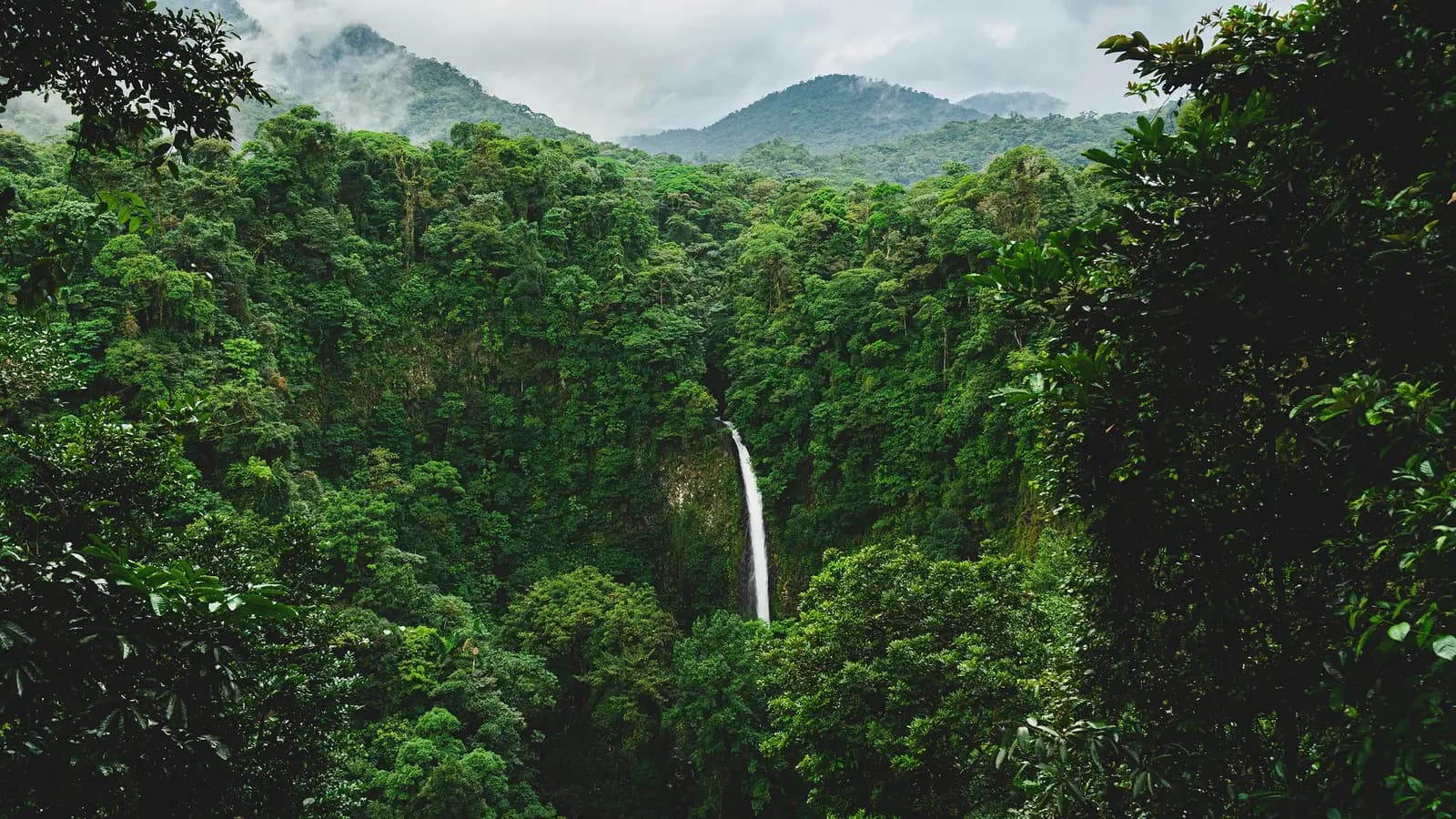 Signature: Costa Rica's Monteverde, Arenal & Guanacaste, a tour by G Adventures