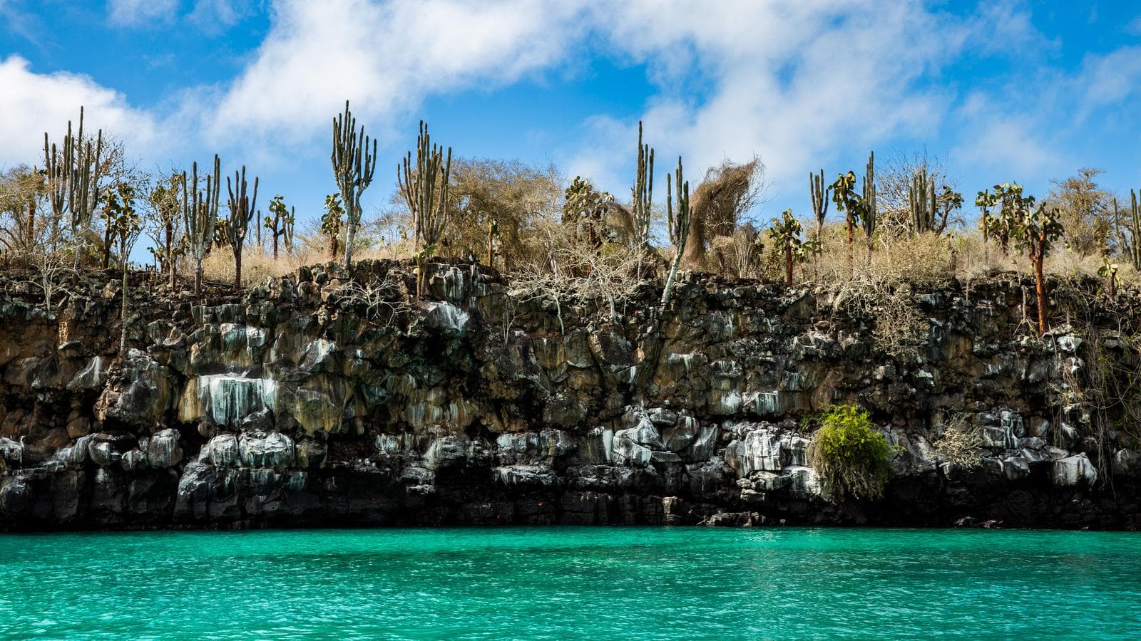 Galápagos Adventure: Snorkelling & Sea Lions (Ecuador), a tour by G Adventures