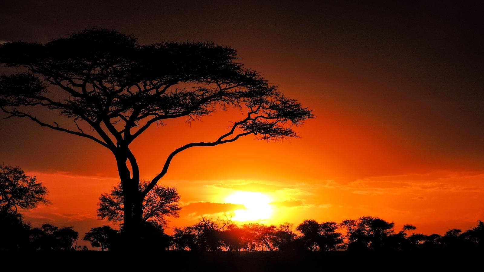Nairobi to Zanzibar: Serengeti & Sunsets (Tanzania), a tour by G Adventures
