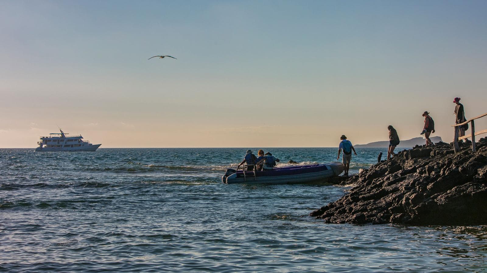 Galápagos — South & East Islands aboard the Eden (Ecuador), a tour by G Adventures