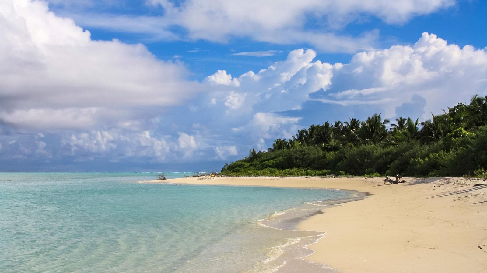 Sri Lanka with Maldives Cruise: Spice Gardens & Seasides, a tour by G Adventures