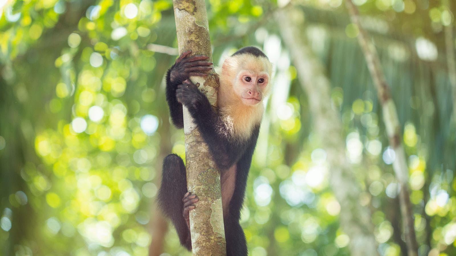 Costa Rica Family Experience, a tour by G Adventures