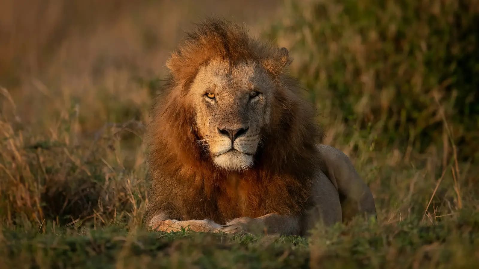 Signature: Kenya’s Wildlife & Cultural Heritage, a tour by G Adventures