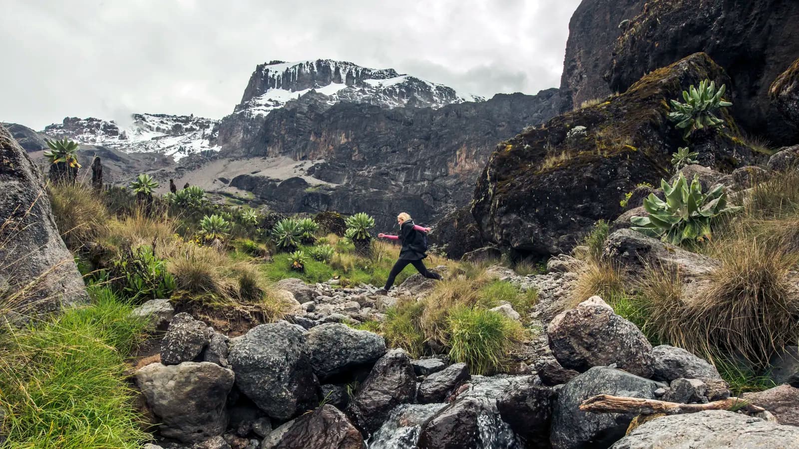 Kilimanjaro – Machame Route & Serengeti Adventure (Tanzania), a tour by G Adventures