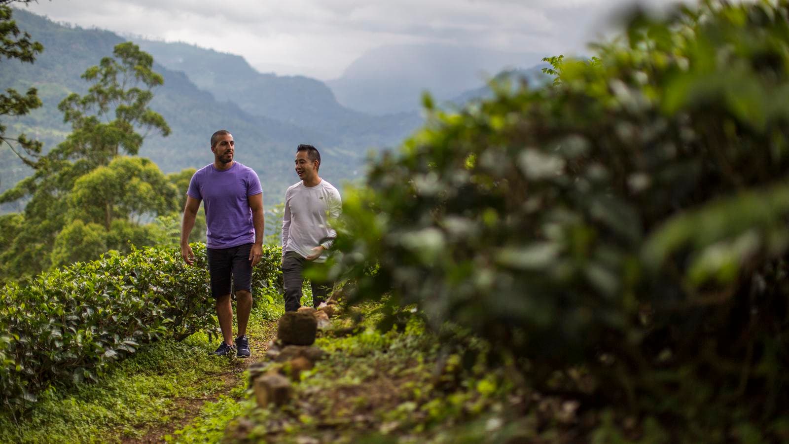 Journeys: Discover Sri Lanka, a tour by G Adventures