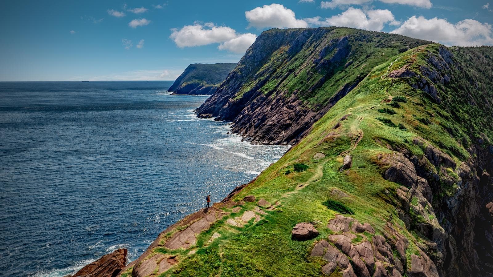 Newfoundland Adventure: From Deer Lake to St. John's (Canada), a tour by G Adventures